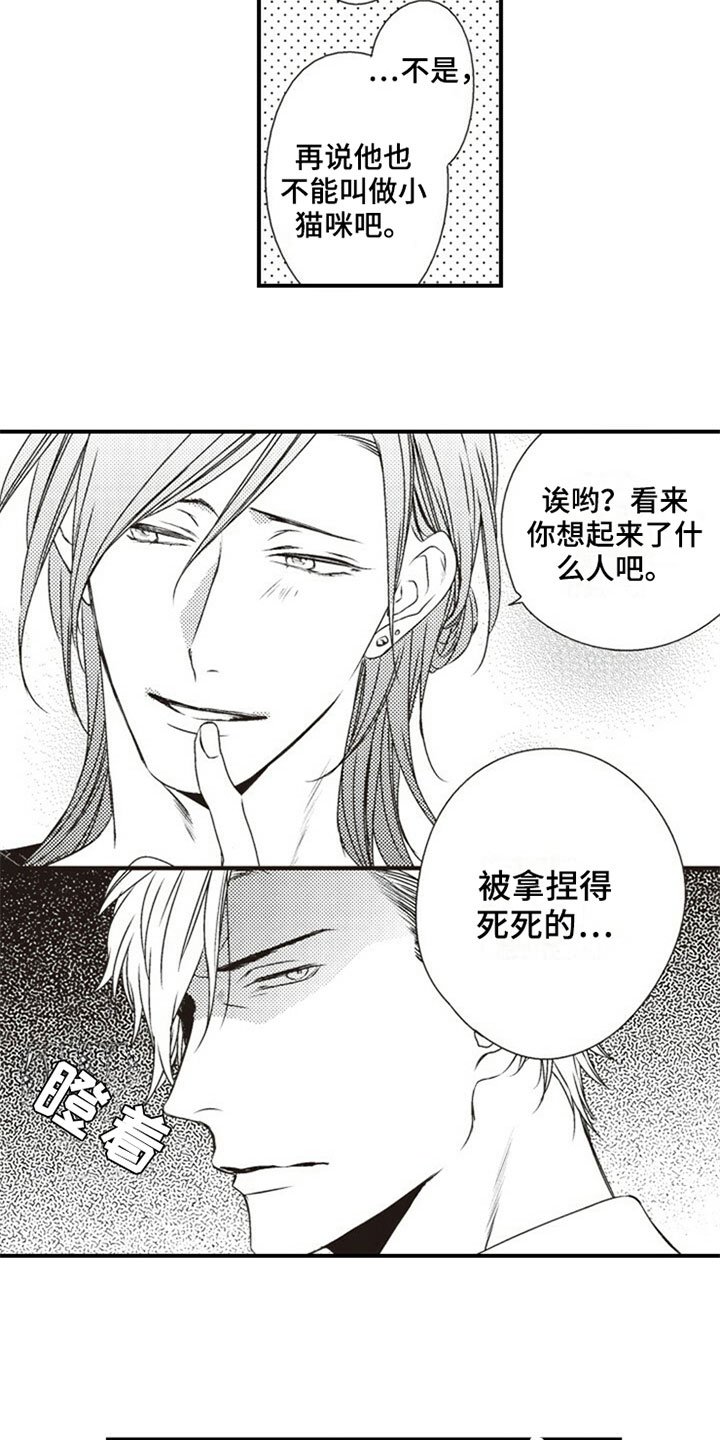 第28章：决定
