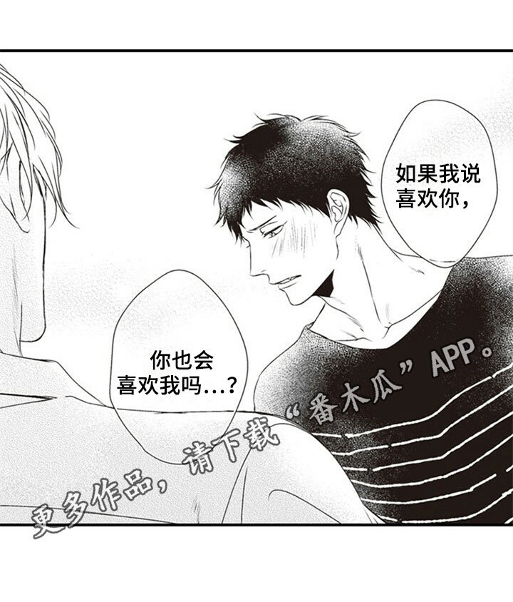 第29章：表白