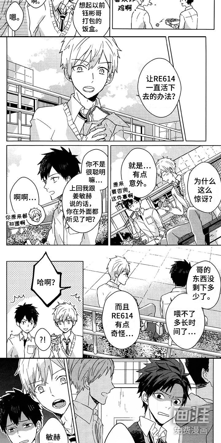 第24章：出主意