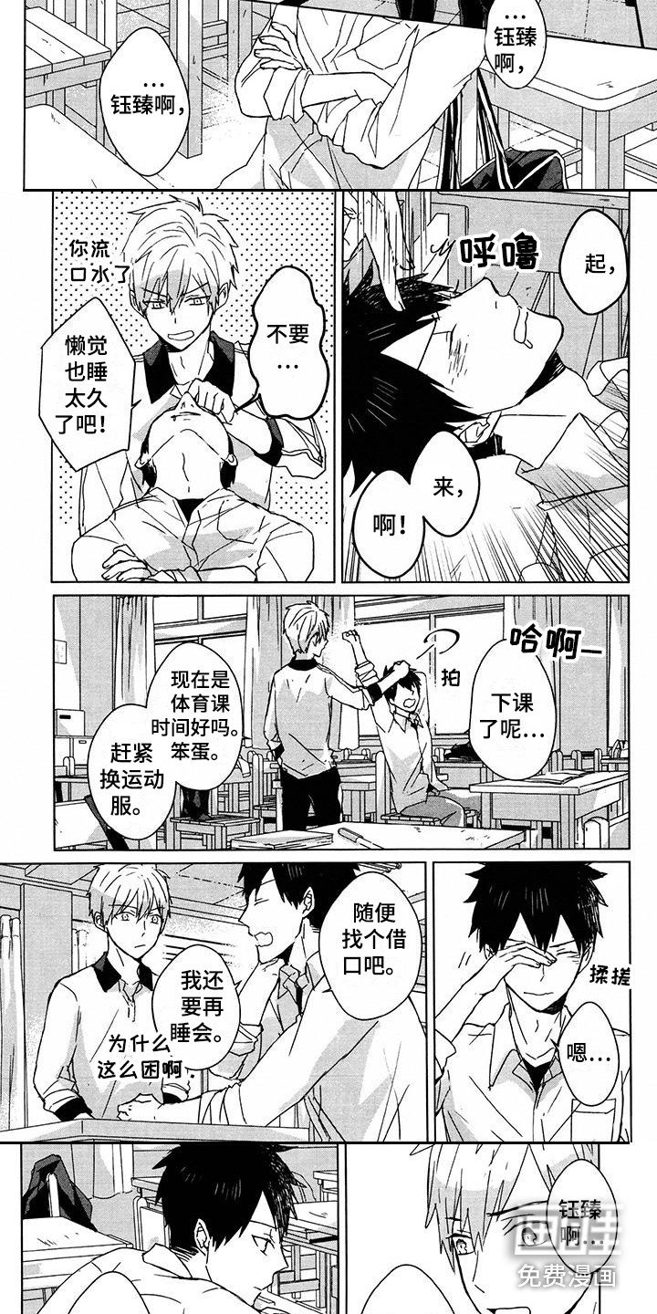 第28章：疼痛