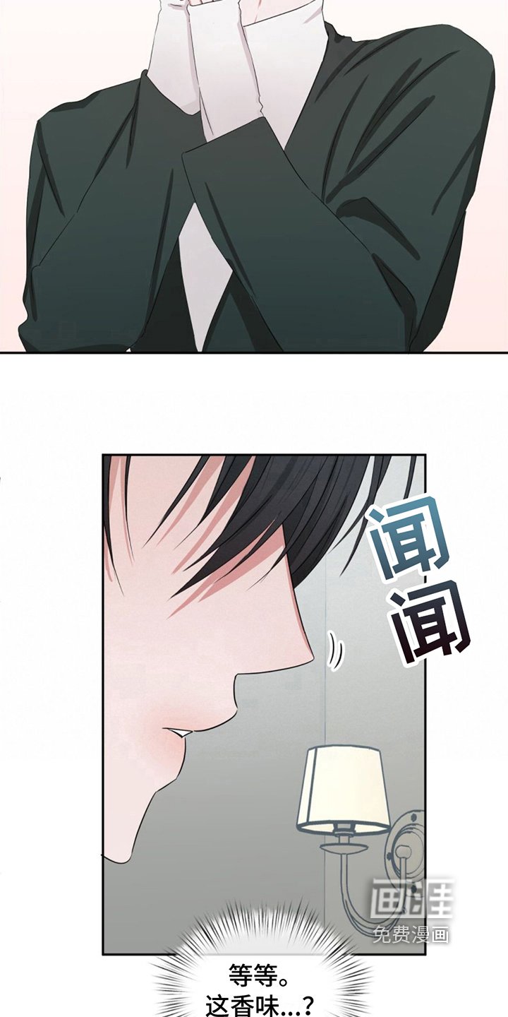 第11章：发现