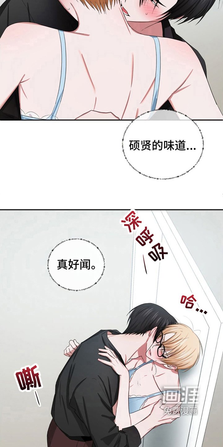 第13章：条件