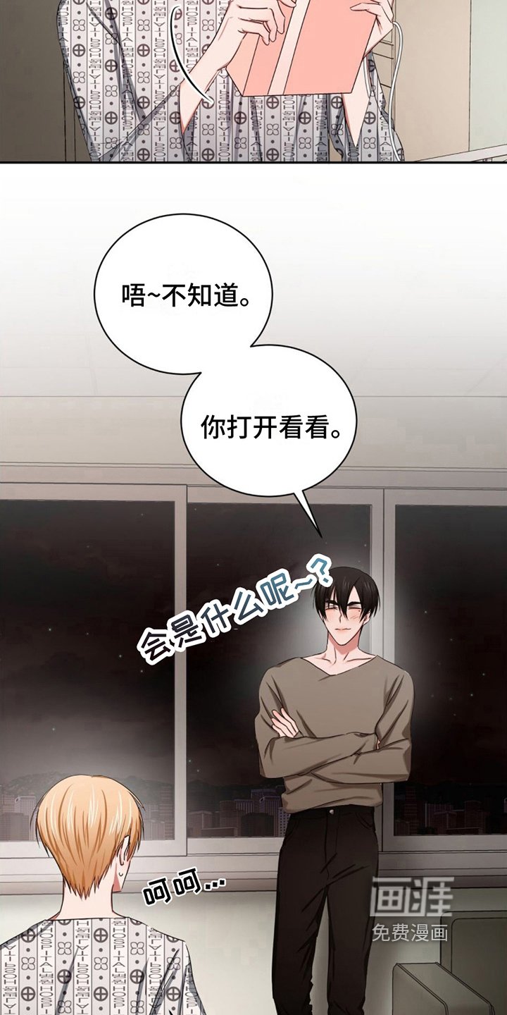 第19章：安心