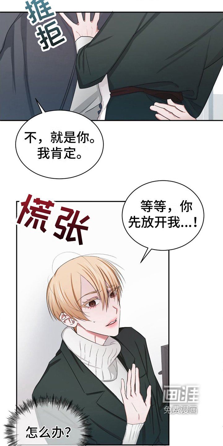 第5章：认出
