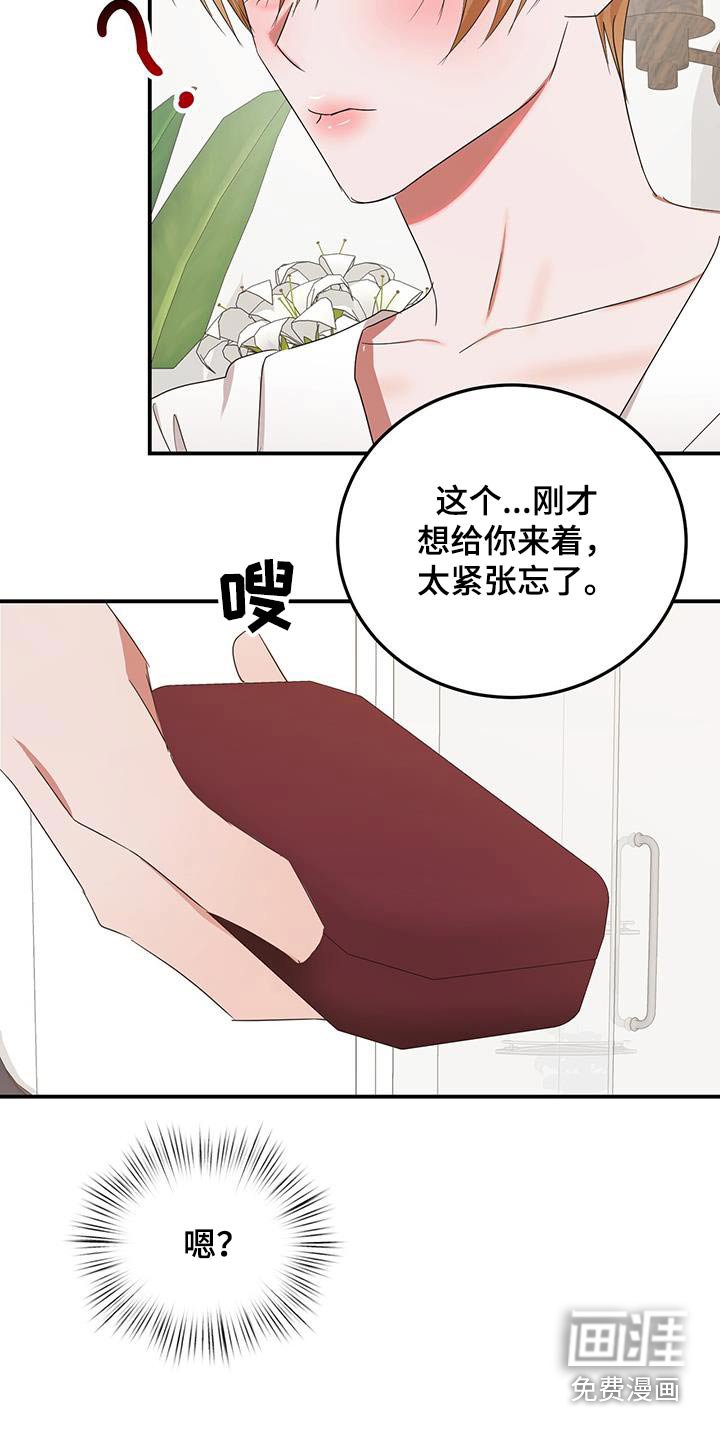 第51章：项链