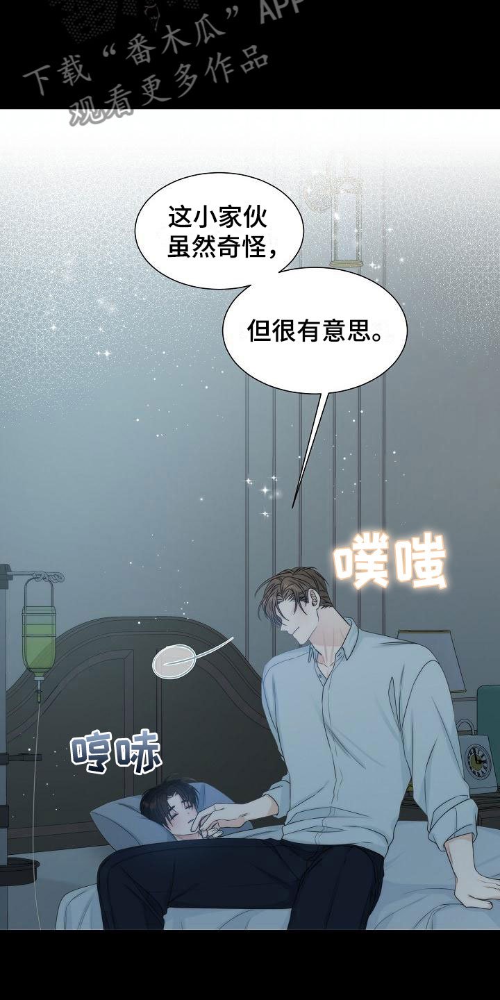 第11章：陪伴