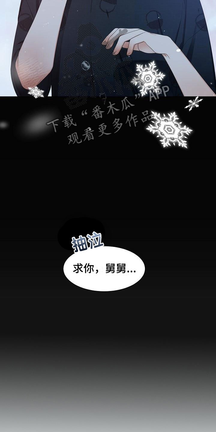 第11章：陪伴