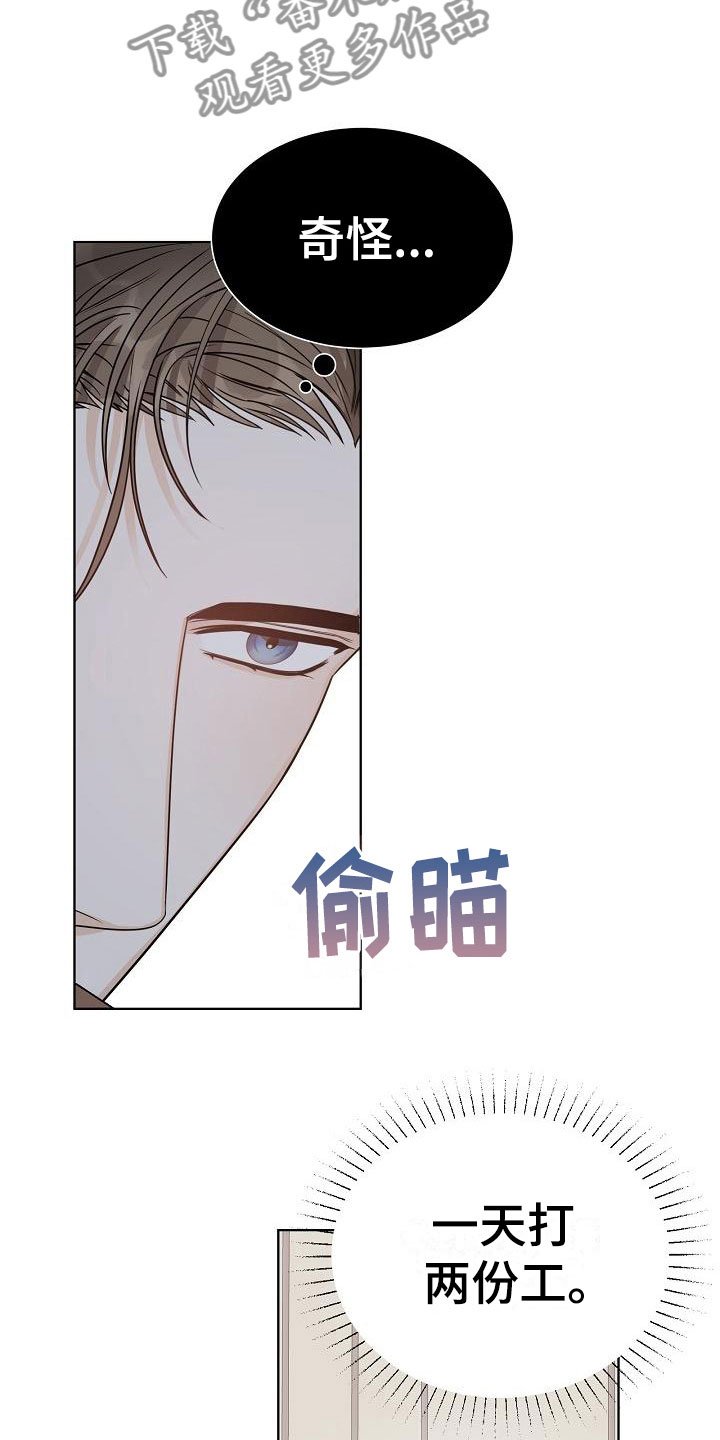 第12章：迷思