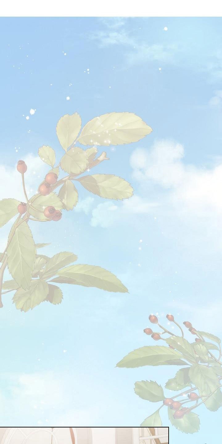 第15章：失约