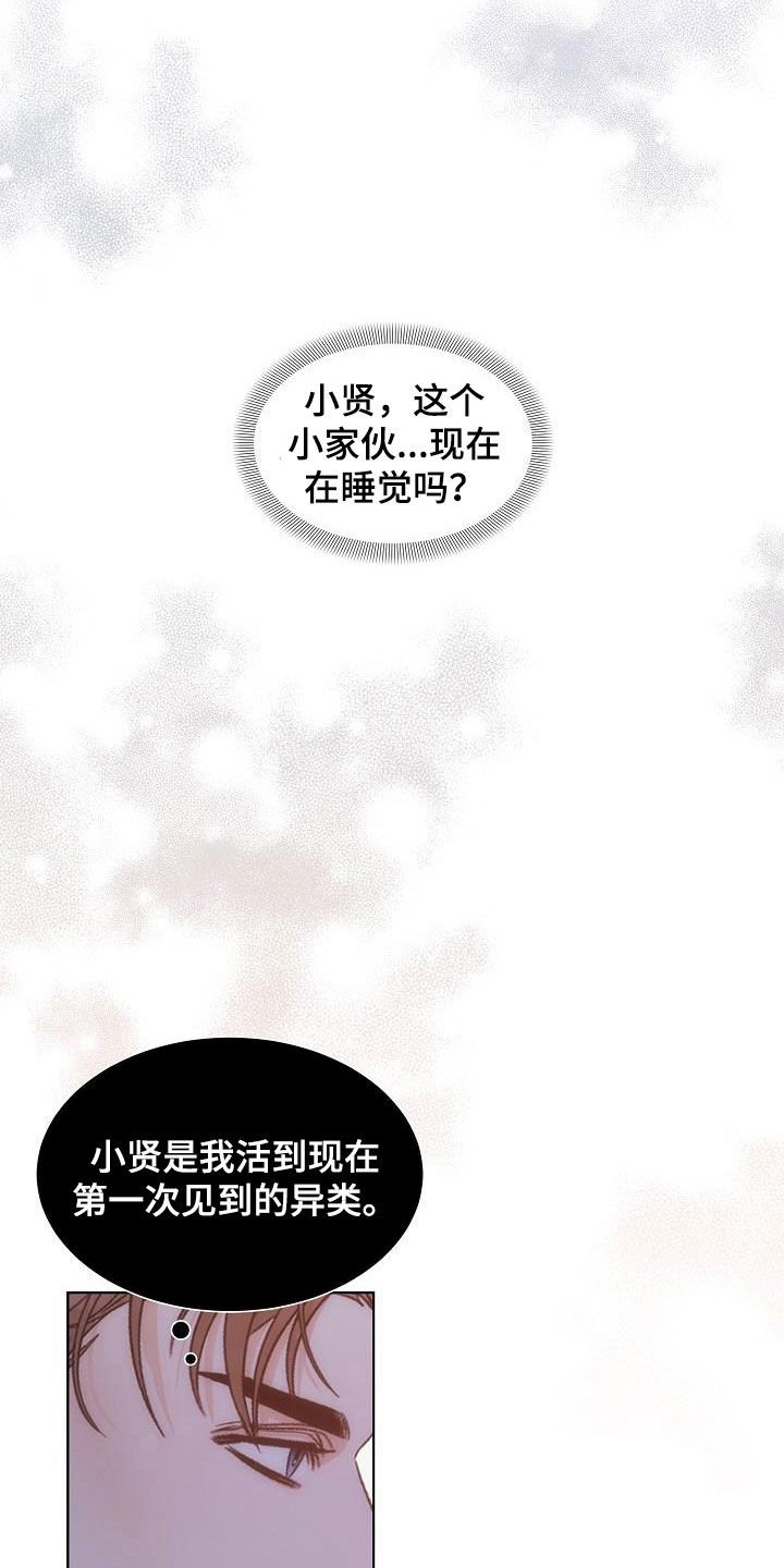 第29章：计划