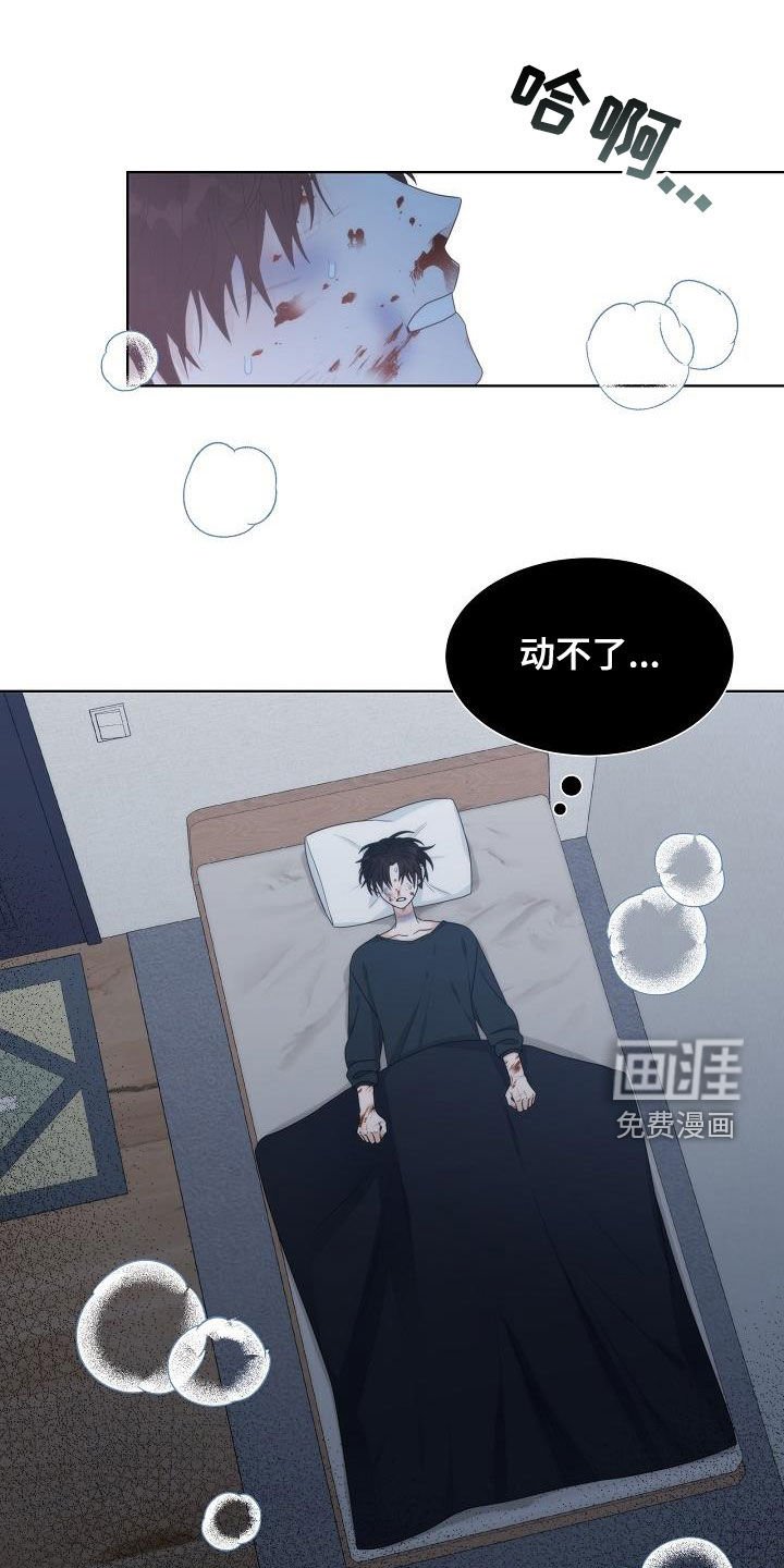 第32章：幸福的梦