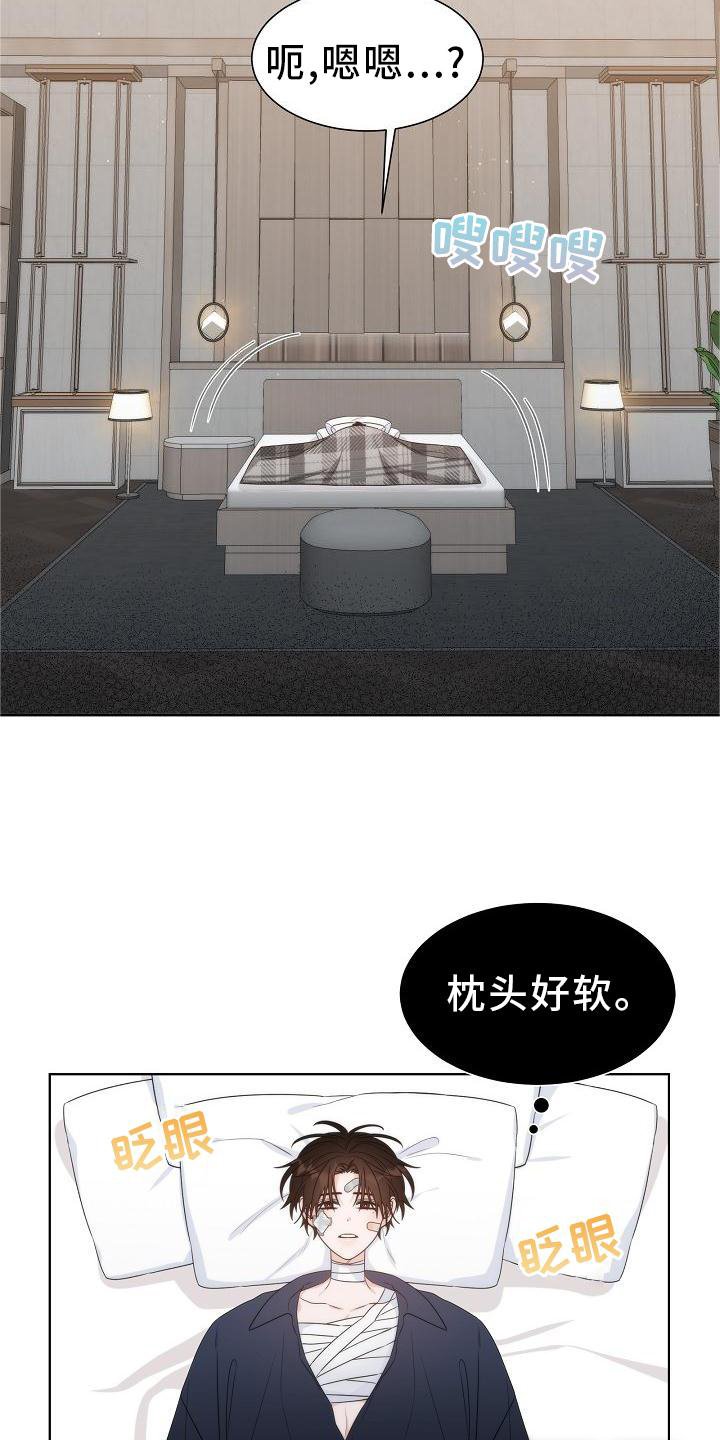 第34章：【第二季】小松鼠