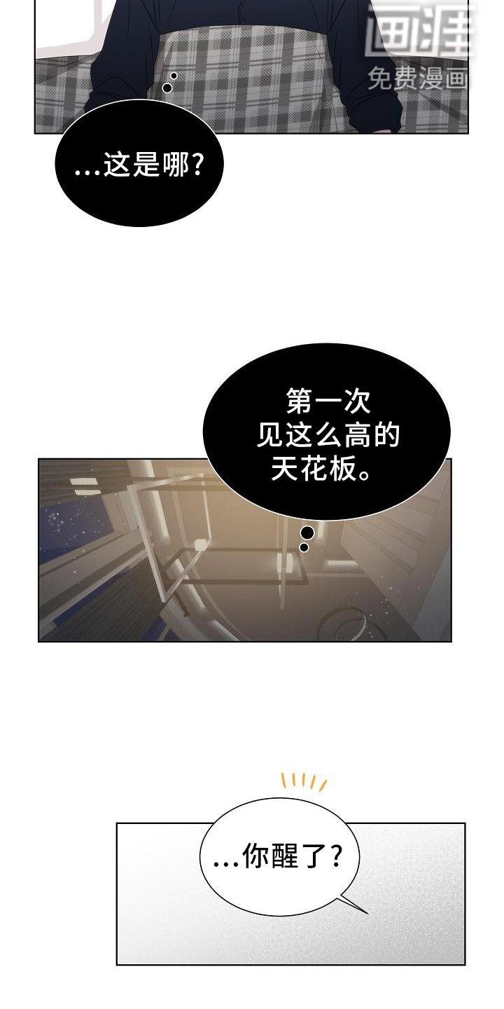 第34章：【第二季】小松鼠