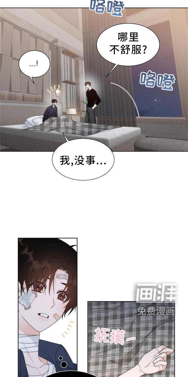 第34章：【第二季】小松鼠
