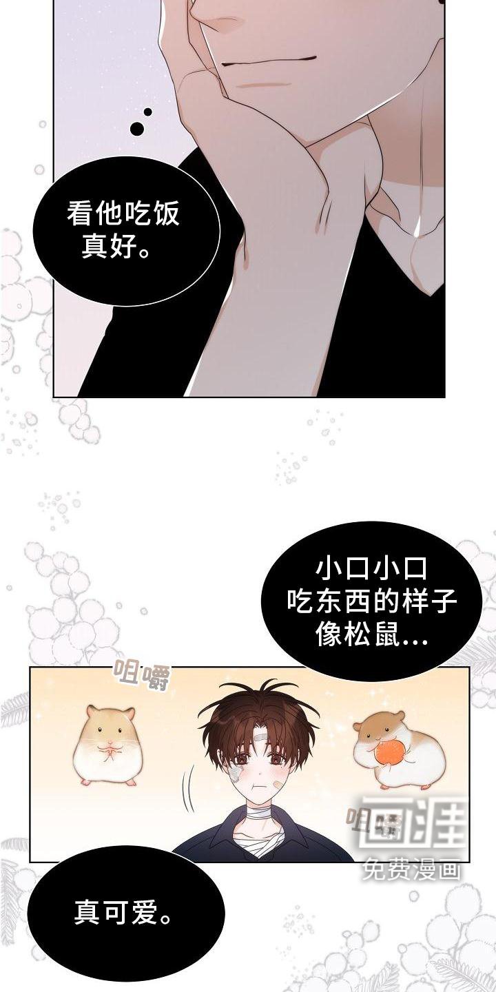 第34章：【第二季】小松鼠