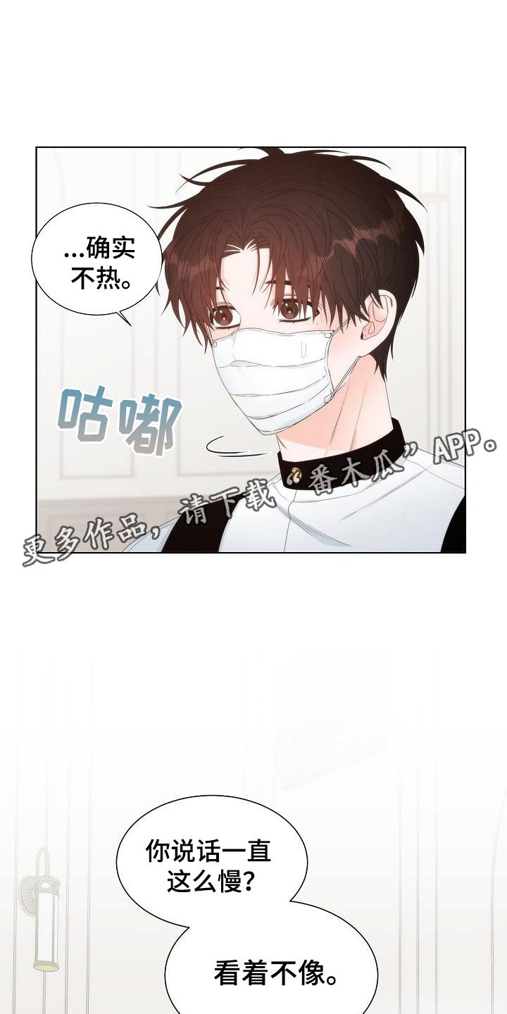 第5章：蛋糕