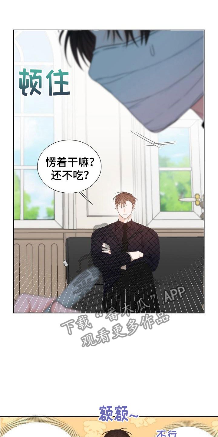 第6章：观察