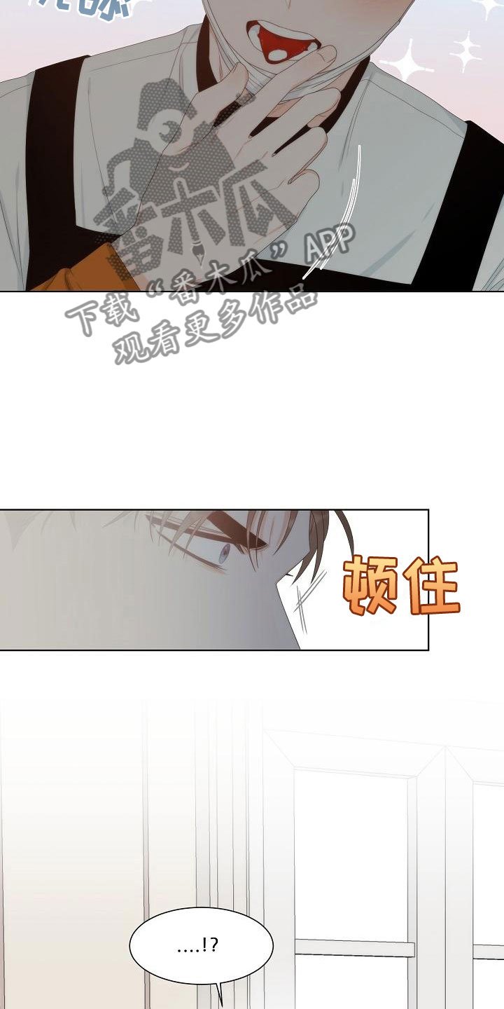 第6章：观察