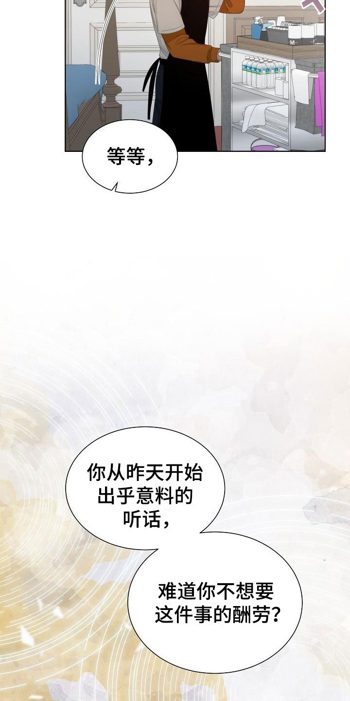 第6章：观察