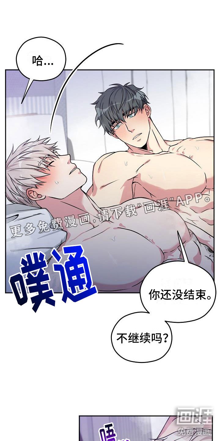 第3章：伙伴