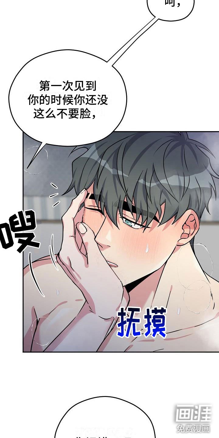 第3章：伙伴