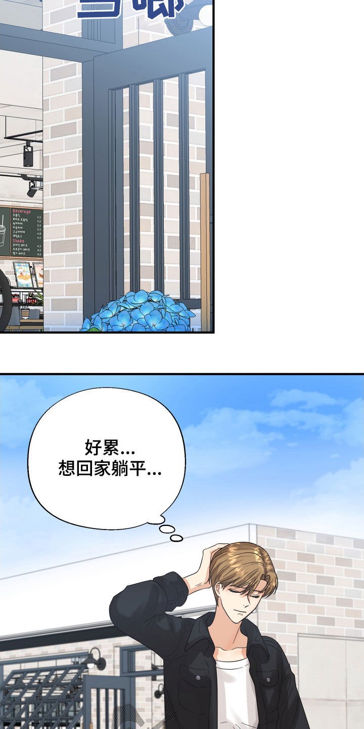 第21章：直觉