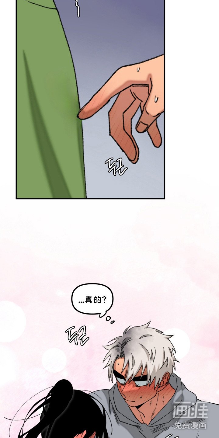 第13章：触碰