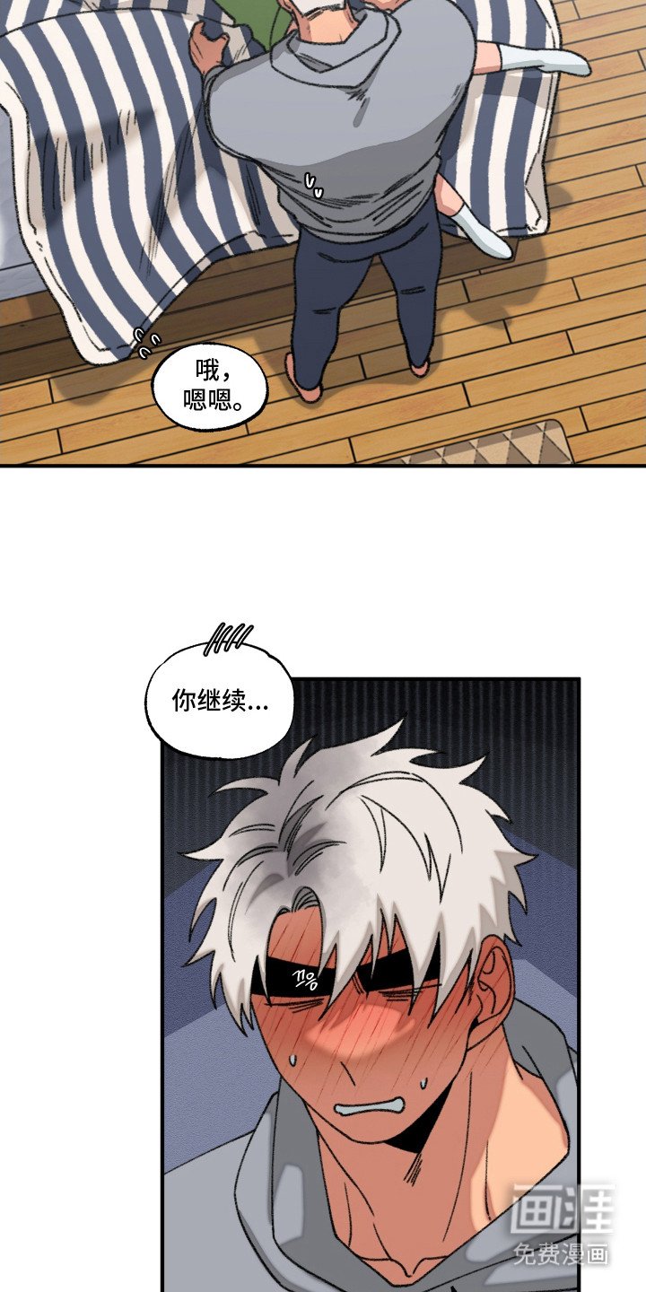 第13章：触碰