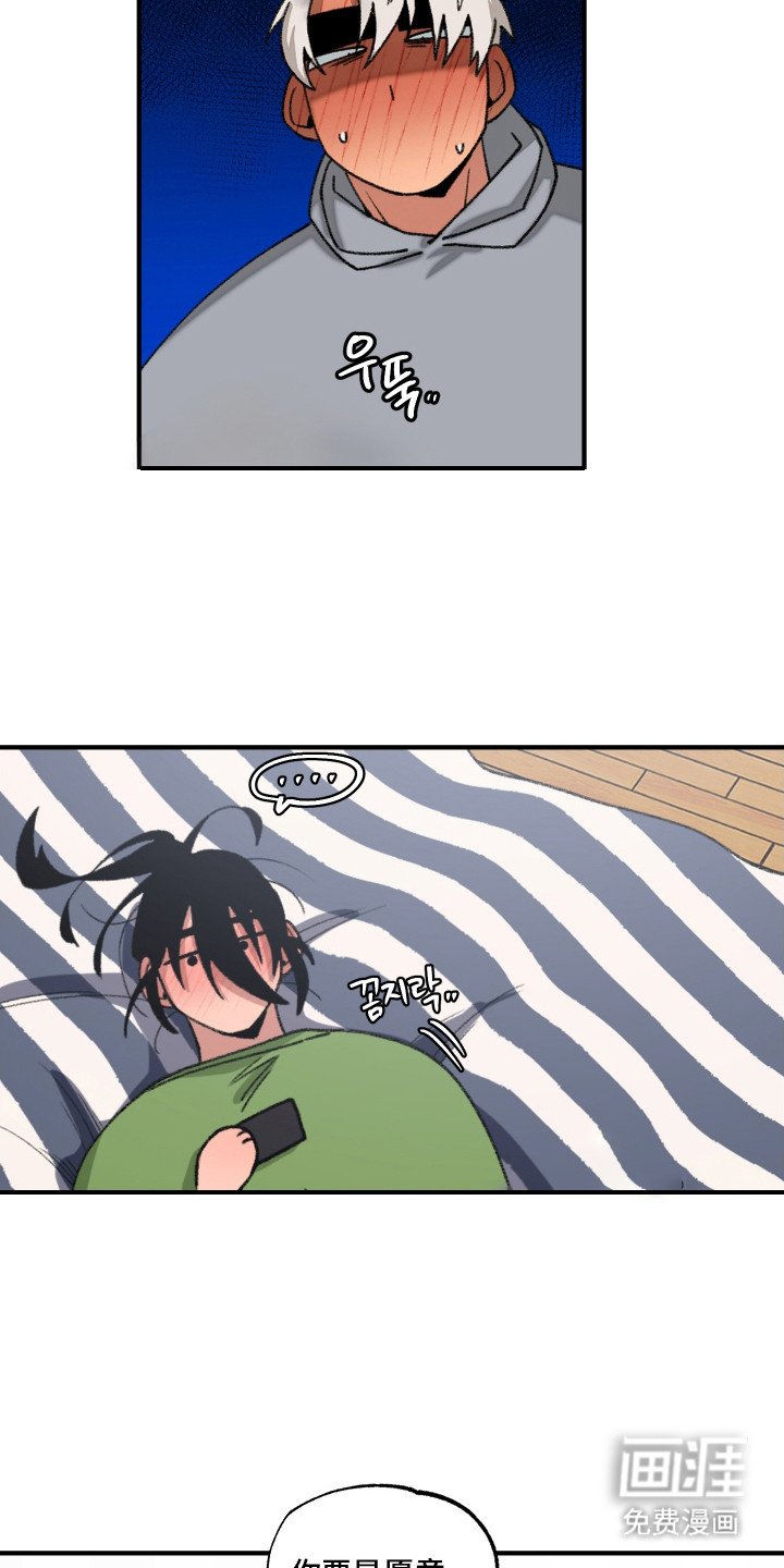 第13章：触碰