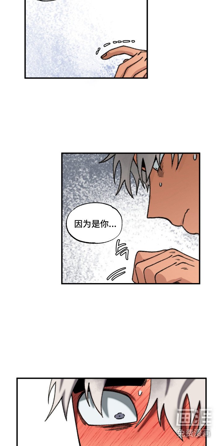 第13章：触碰
