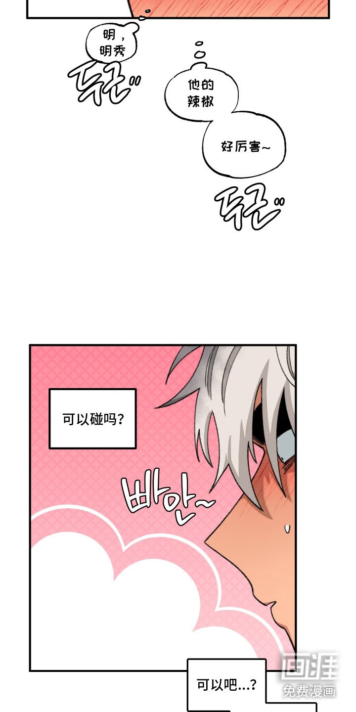 第13章：触碰