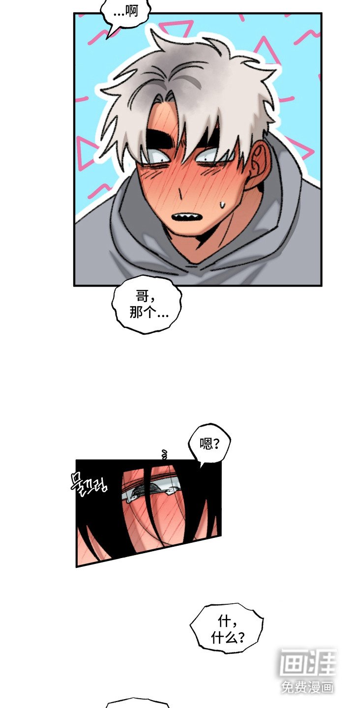 第13章：触碰