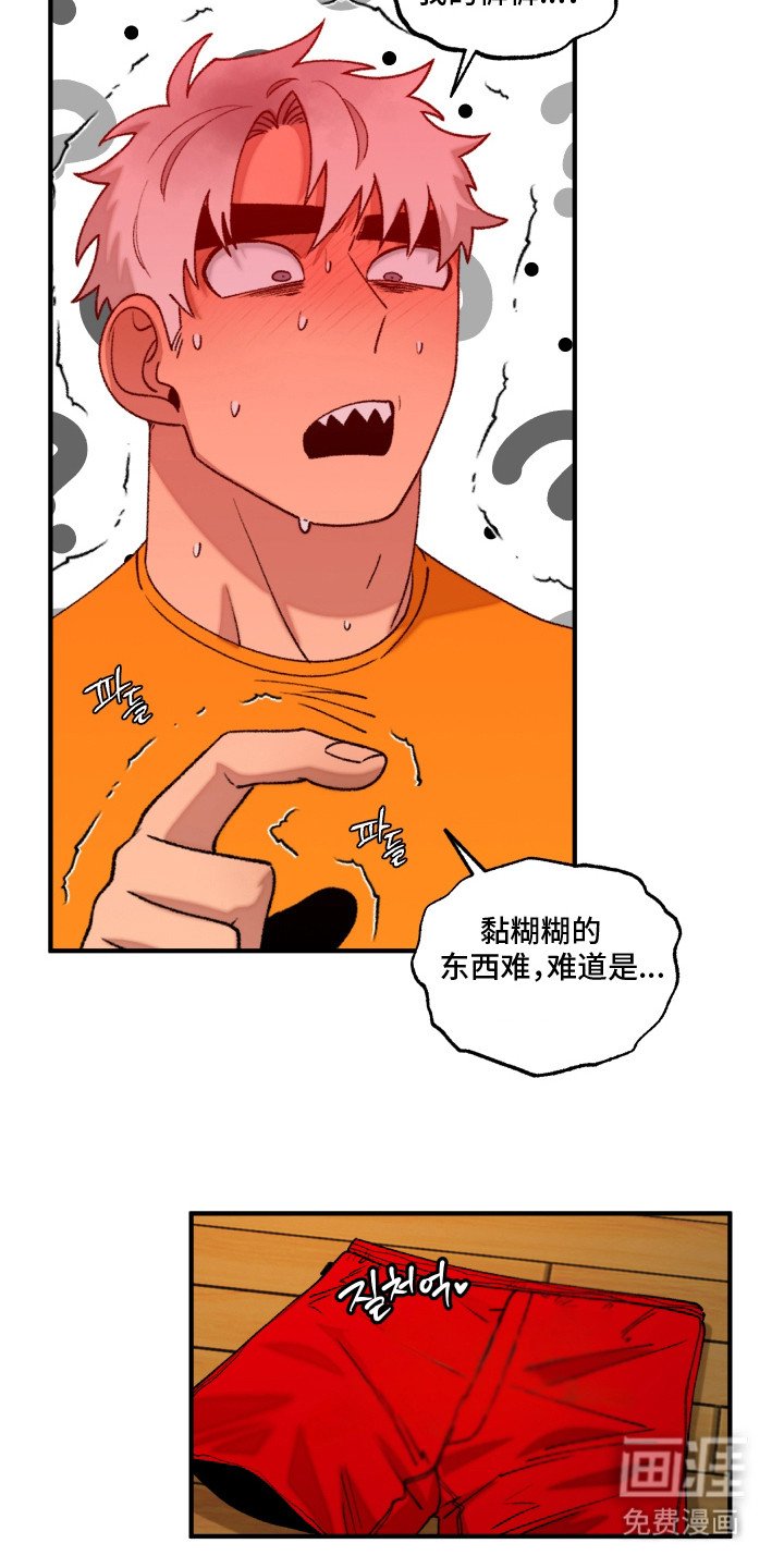 第16章：短裤