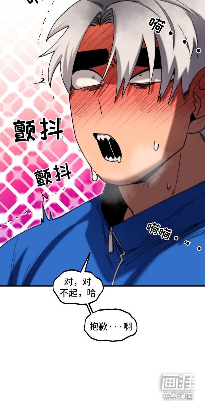 第2章：镜头恐惧症
