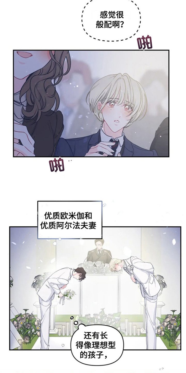 第1章：婚礼