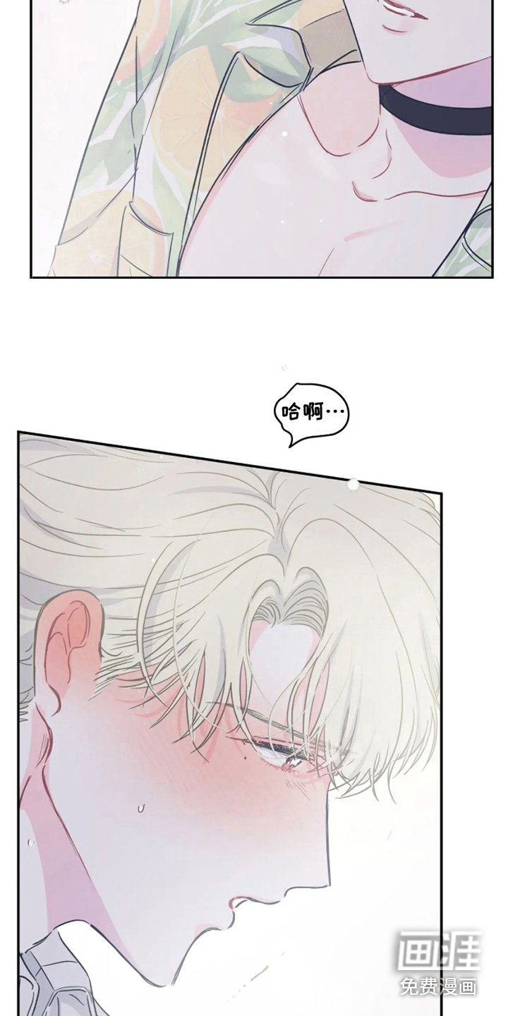 第17章：准备好了 