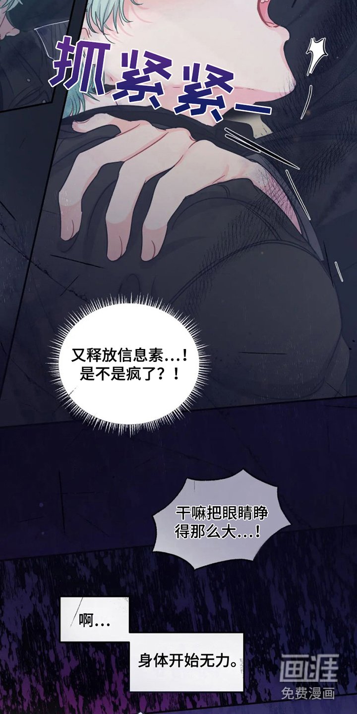 第6章：完美型