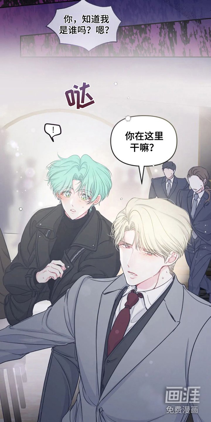 第6章：完美型