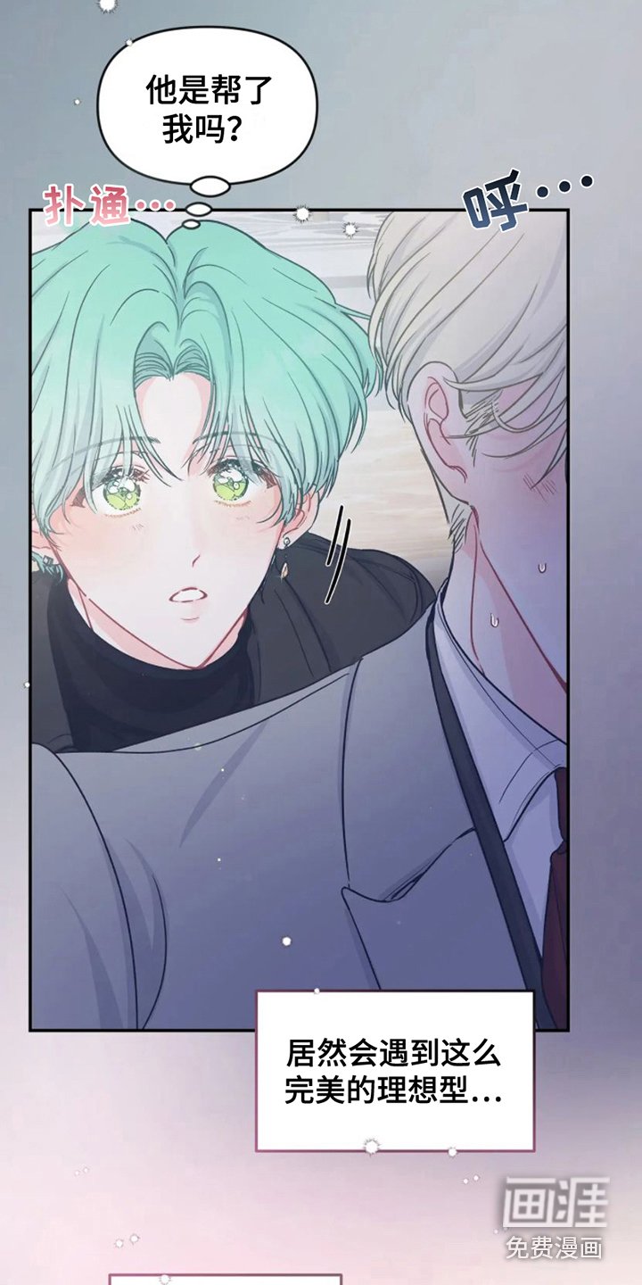 第6章：完美型