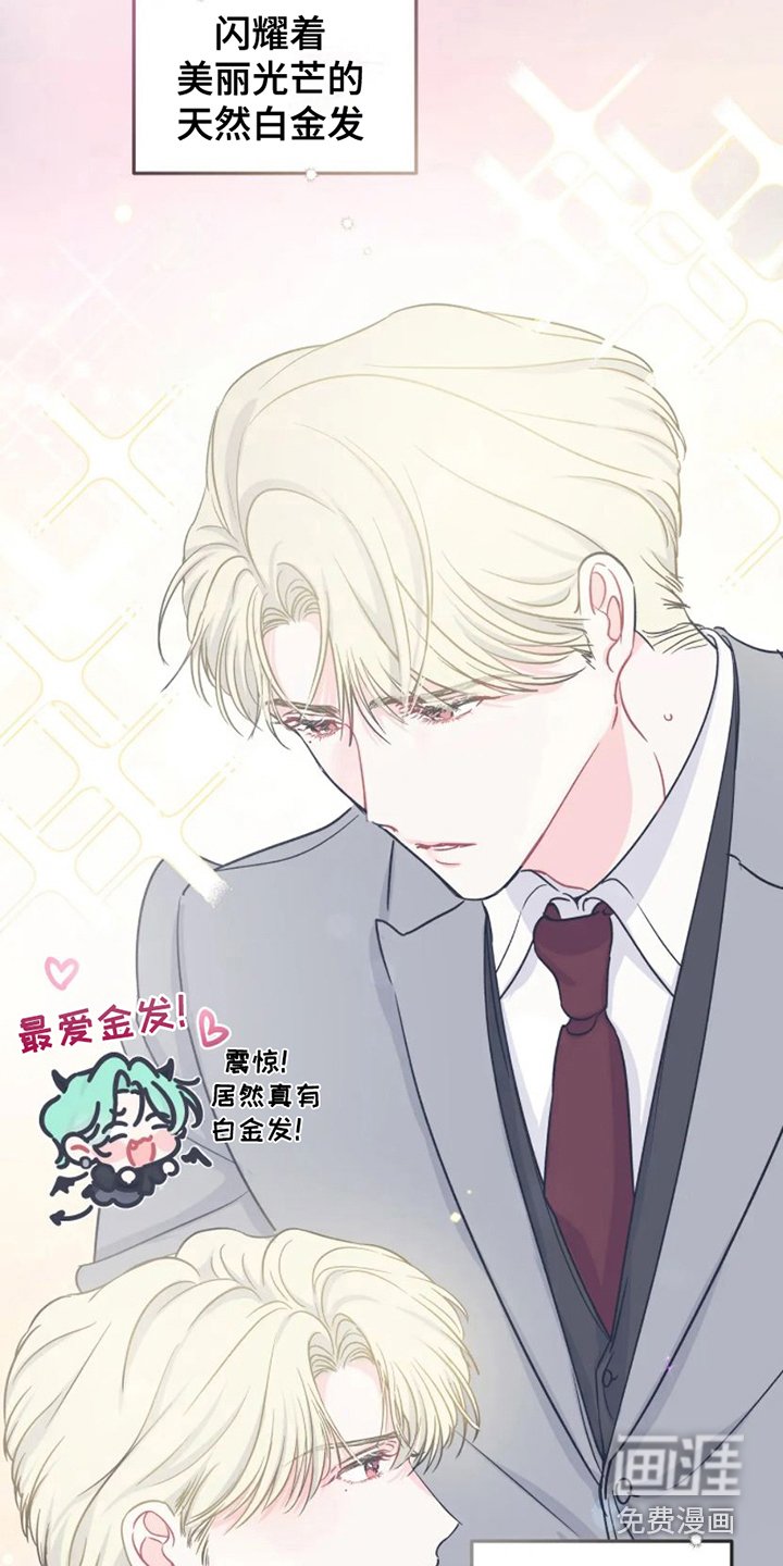 第6章：完美型