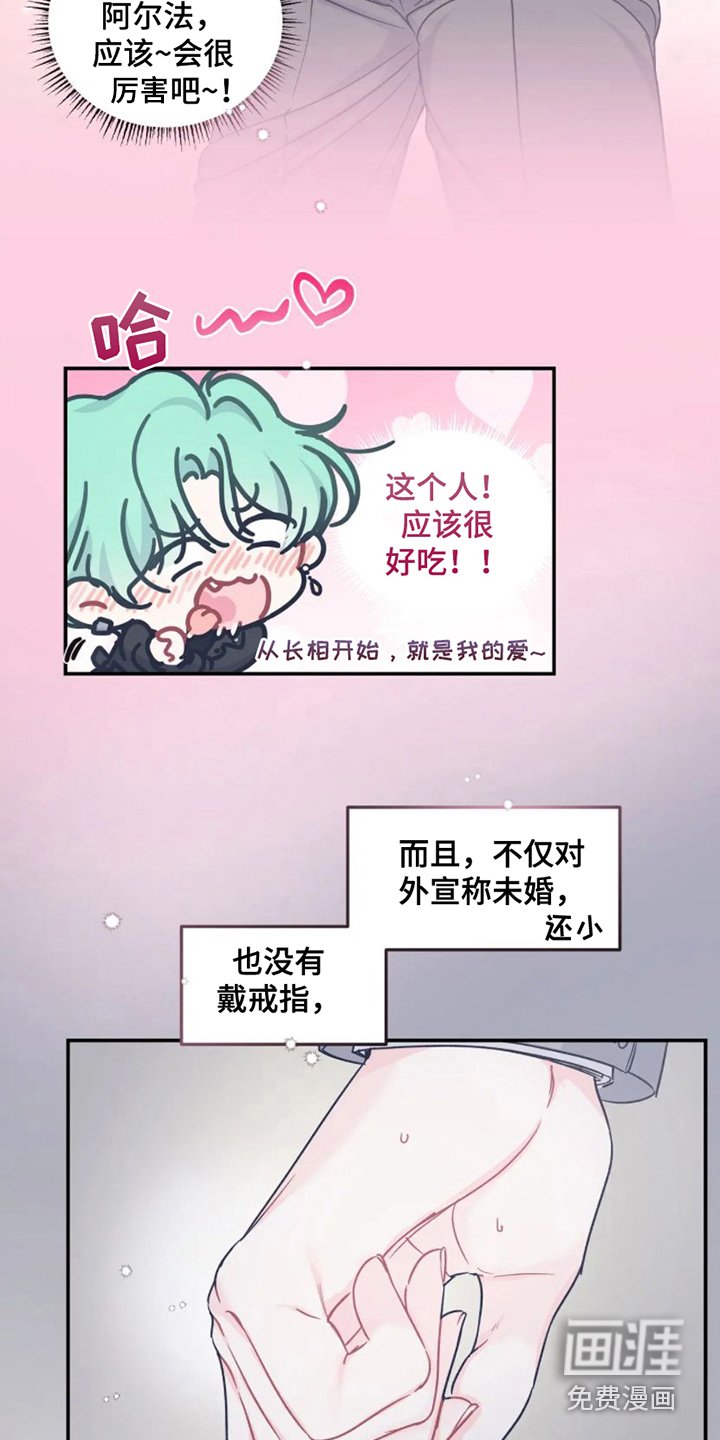 第6章：完美型