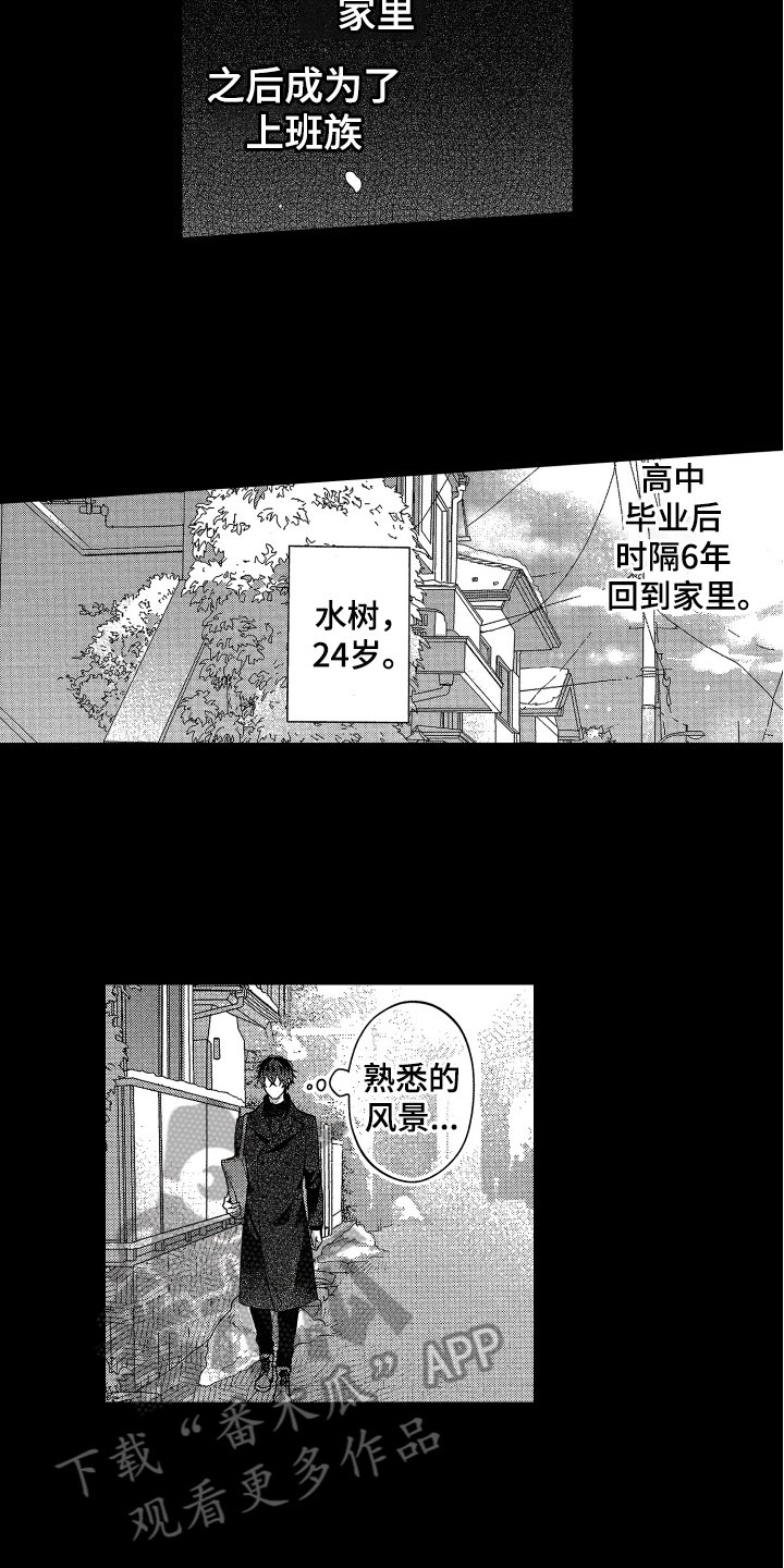 第10章：建议