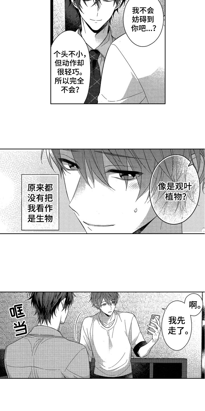 第2章：耀眼