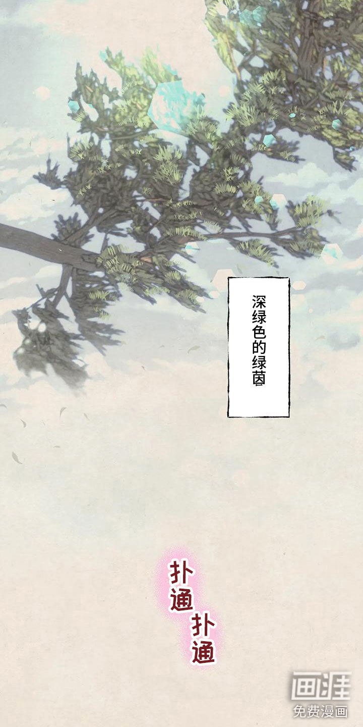 第9章：十二岁的夏天