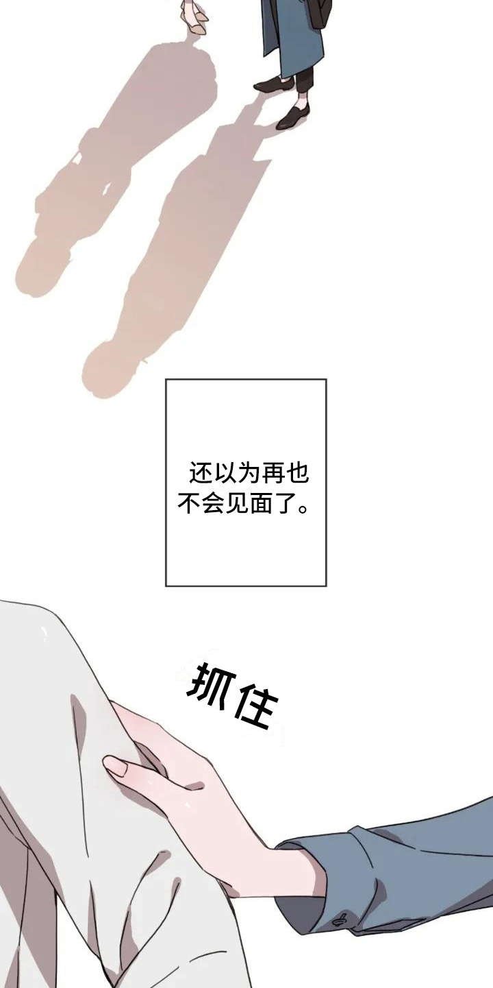 第1章：再次出现