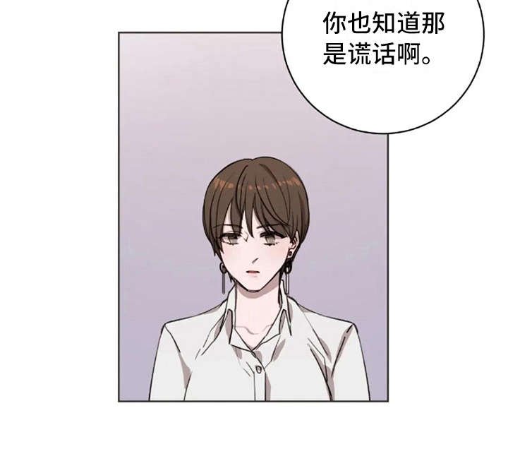 第11章：谎话