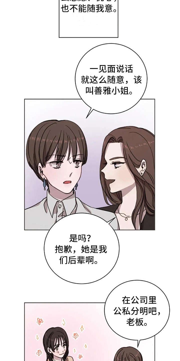 第13章：支撑
