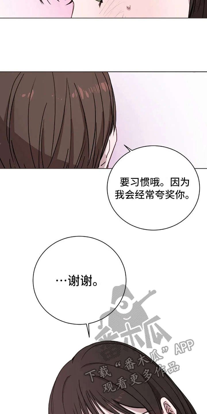 第13章：支撑