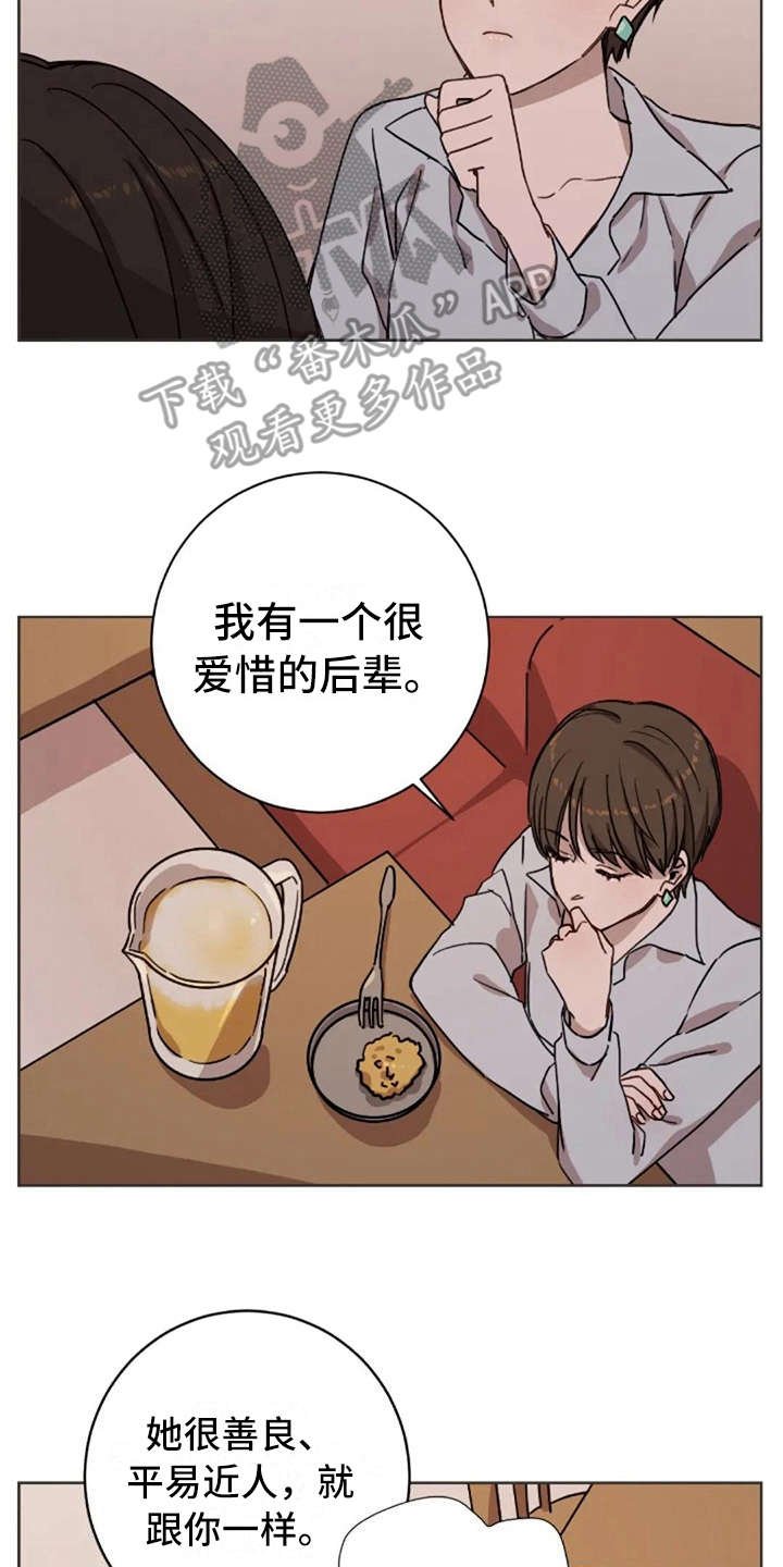 第13章：支撑