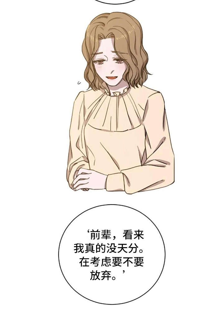 第13章：支撑
